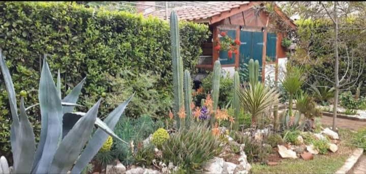 זאדאר Cactus House Gaspar מראה חיצוני תמונה