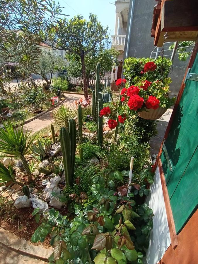 זאדאר Cactus House Gaspar מראה חיצוני תמונה